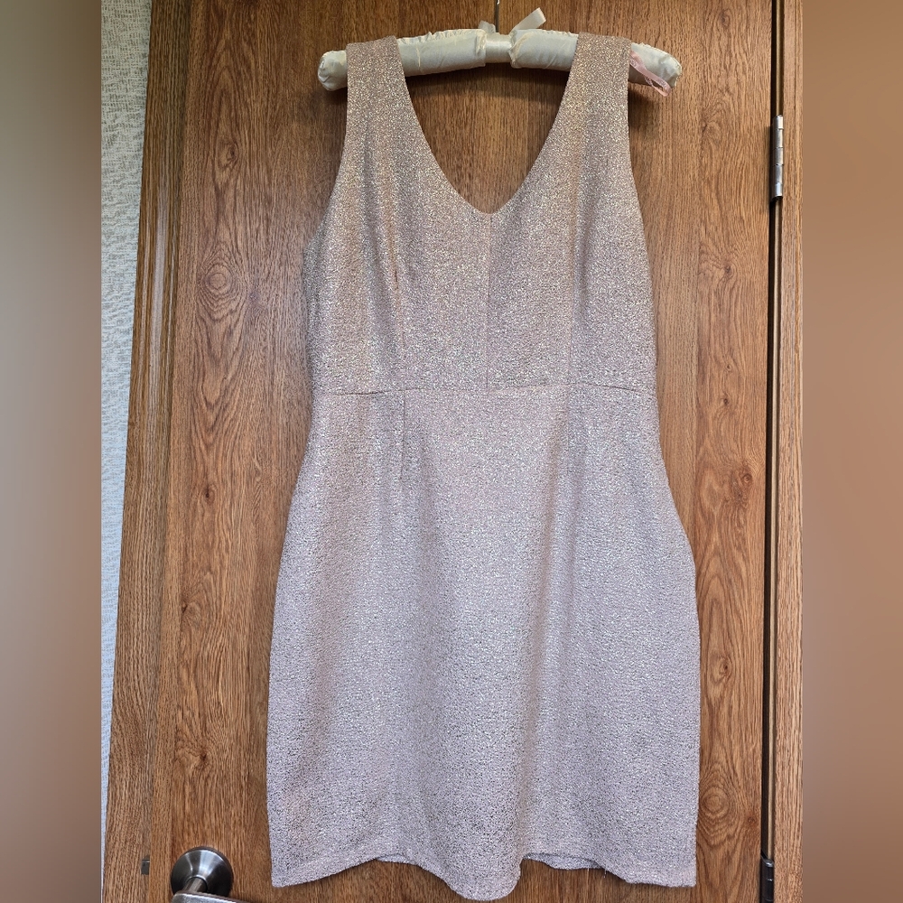 Forever 21 Sleeveless Dress